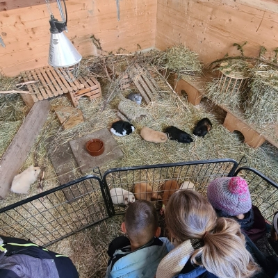 03 - Hoferlebnis auf dem Wipkihof